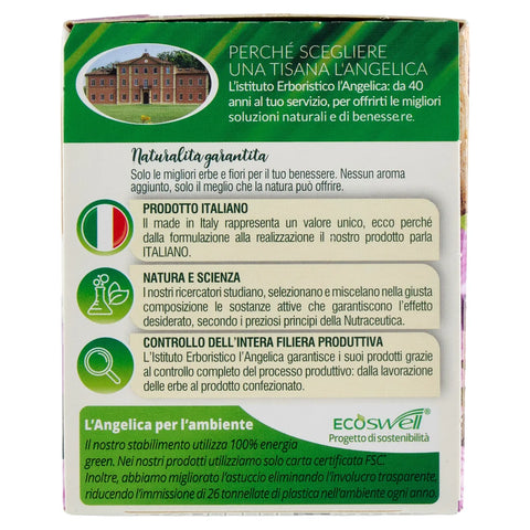 10x L'Angelica Le Tisane Giusta Regola Active herbal tea with Psyllium and Plum extract to enhance intestinal motility action 18 Filters